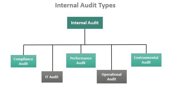 Internal Audit
