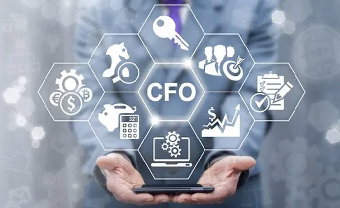 Virtual CFO Services in Bangalore