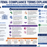 FEMA compliance terms explained infographic covering FDI, ODI, FC-GPR, ECB, APR, LRS, AD Bank, FEMA filings, and RBI compliance concepts in India